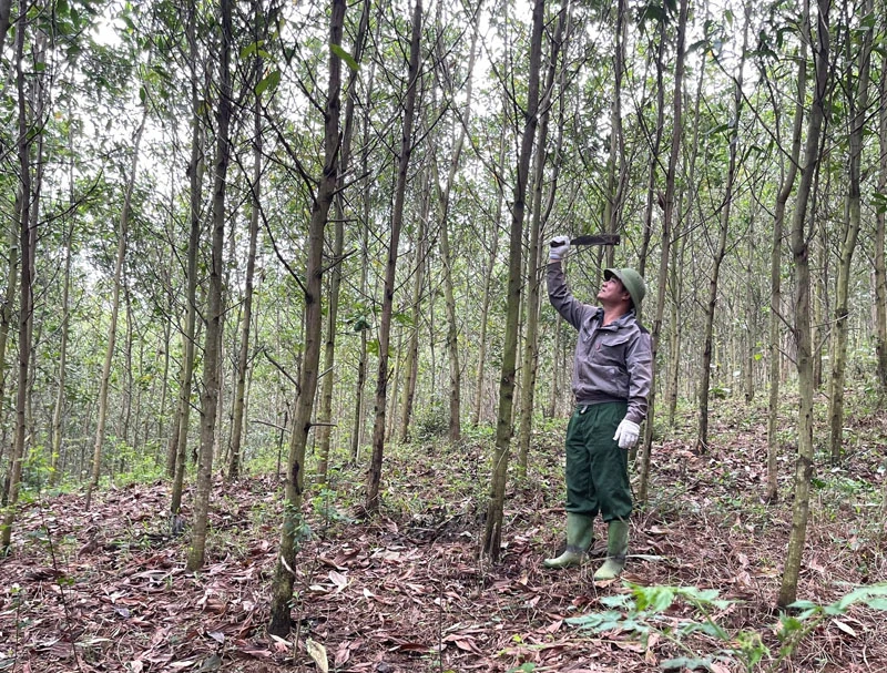 Ngọc Trạo phát huy tiềm năng, lợi thế phát triển kinh tế - xã hội theo hướng bền vững