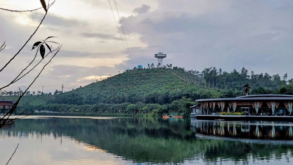 LAMORI by Night: Cuộc đối thoại giữa đại ngàn và vũ trụ