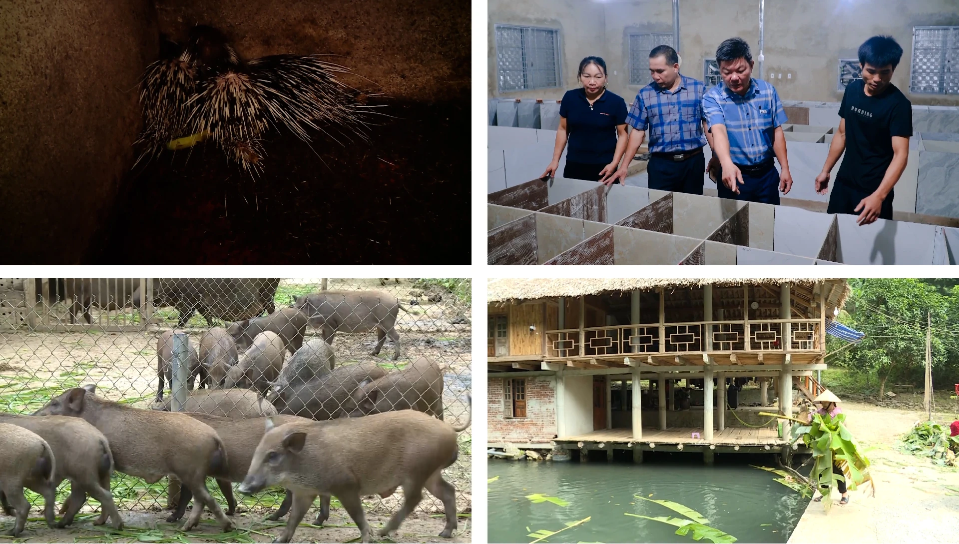 [E-Magazine]: Miền núi Thanh Hóa - Hành trình vươn lên từ gian khó