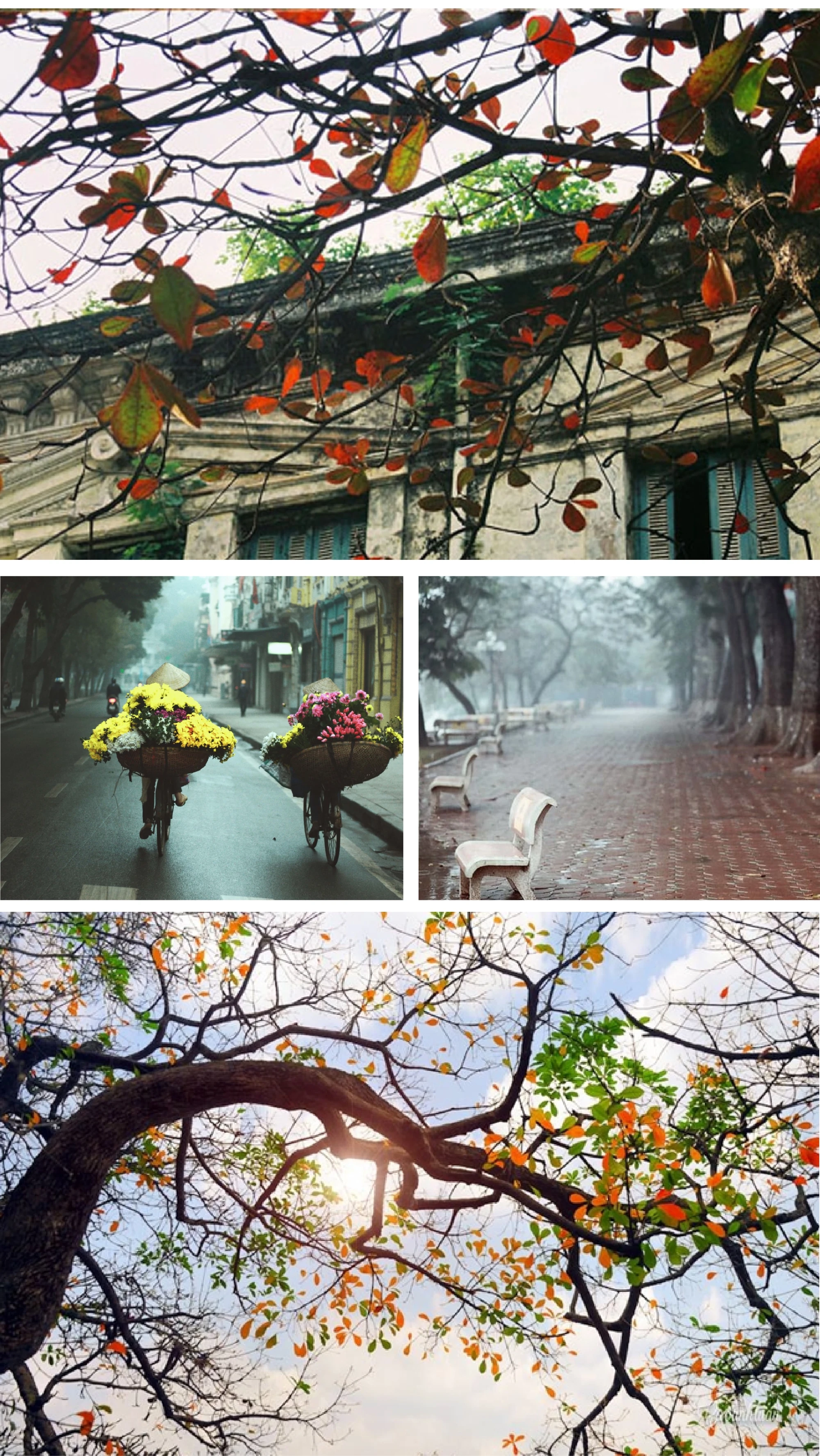 [E-Magazine]: Thấy mình trong những bình yên rất nhỏ