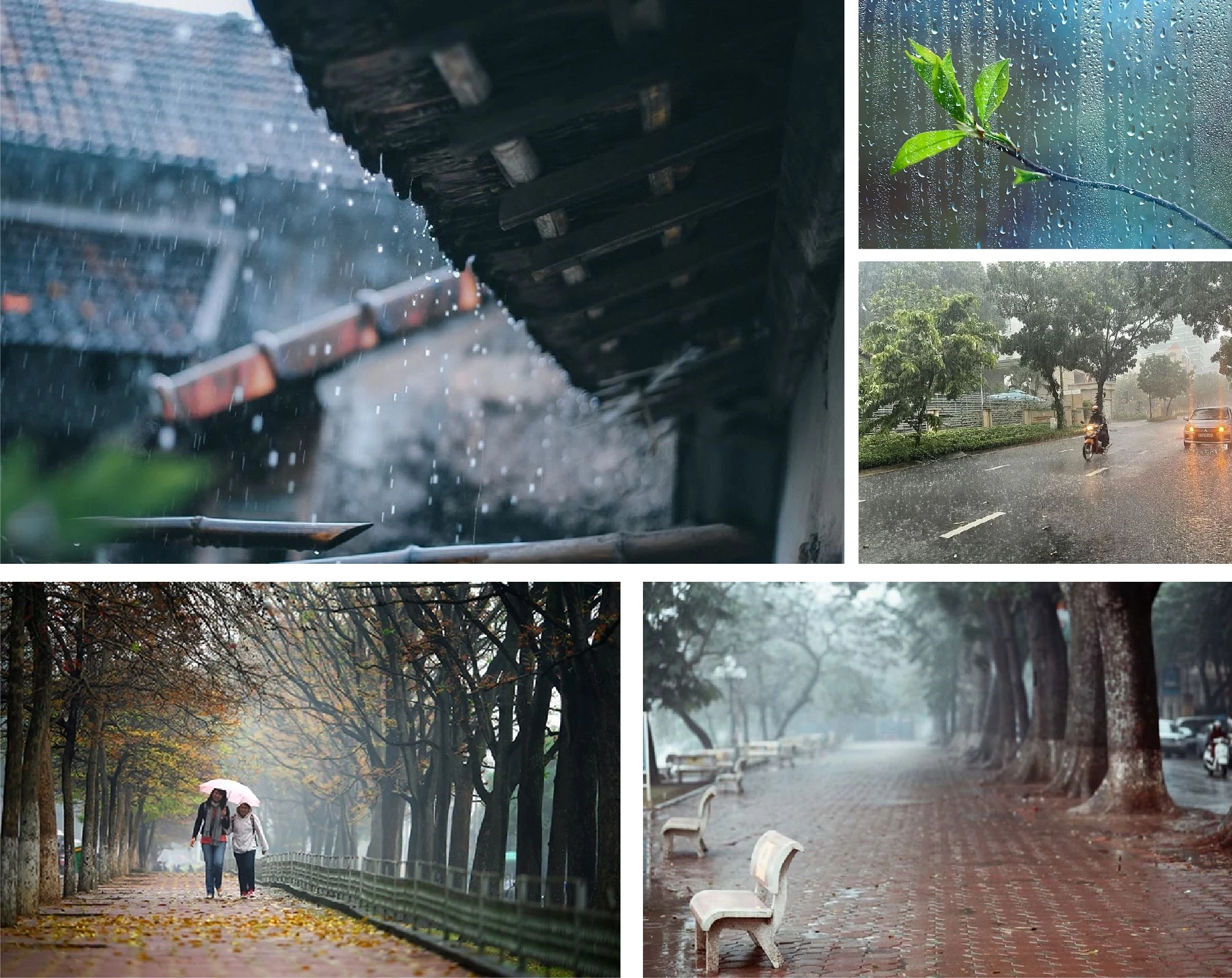 [E-Magazine]: Thấy mình trong những bình yên rất nhỏ