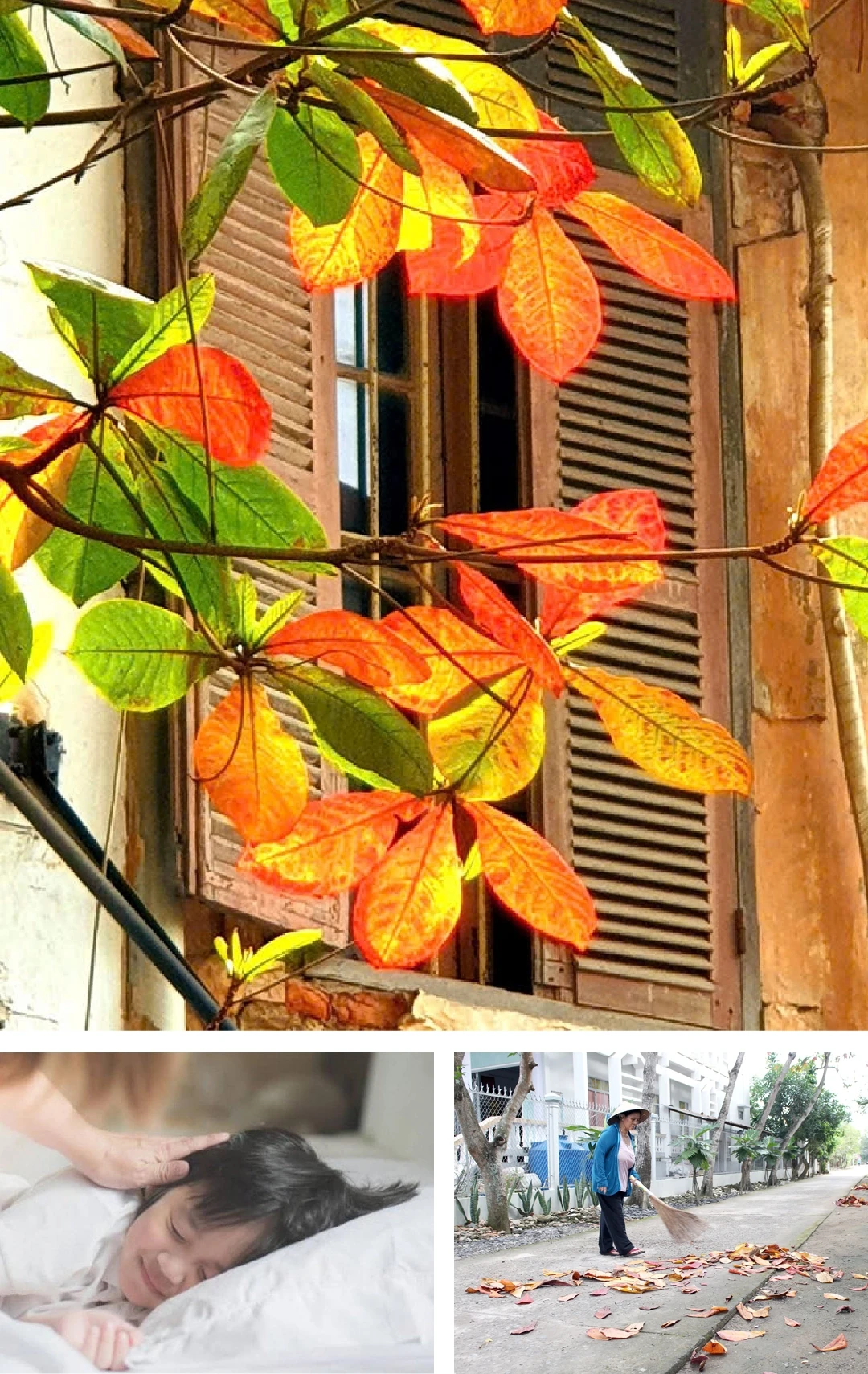 [E-Magazine]: Thấy mình trong những bình yên rất nhỏ