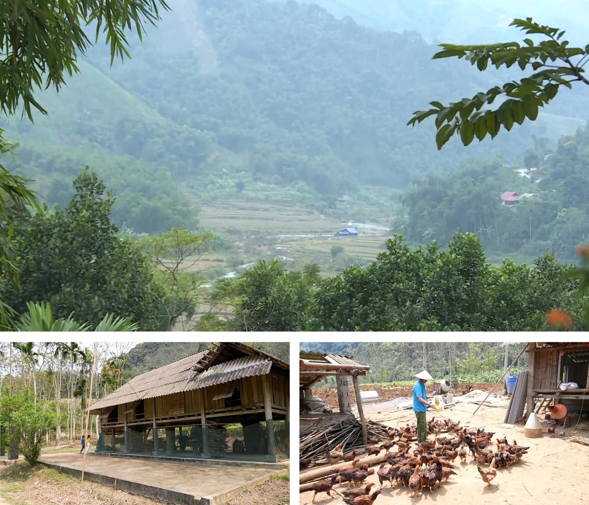 [E-Magazine]: Miền núi Thanh Hóa - Hành trình vươn lên từ gian khó