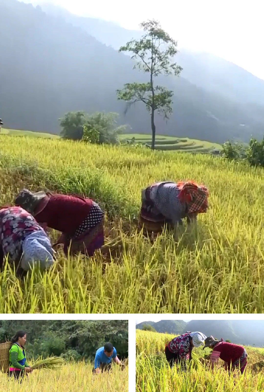 [E-Magazine]: Miền núi Thanh Hóa - Hành trình vươn lên từ gian khó