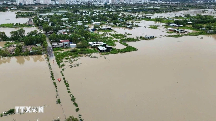 Bộ GD&ĐT sẽ cấp phát sách giáo khoa cho toàn bộ học sinh vùng lũ