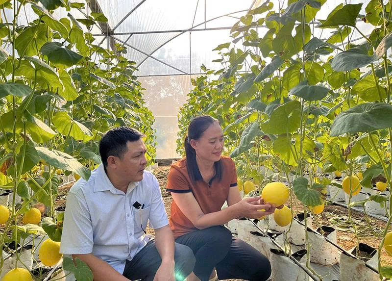 Hết lòng vì việc thôn