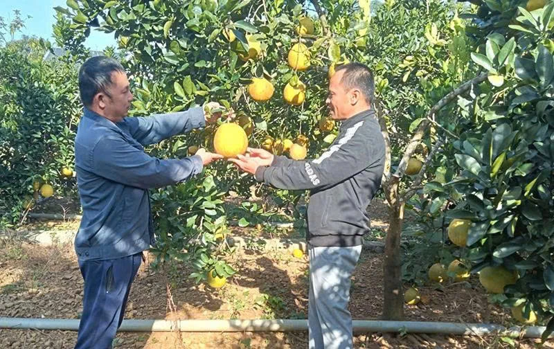 Bí thư chi bộ thôn Quý Thanh gương mẫu, trách nhiệm