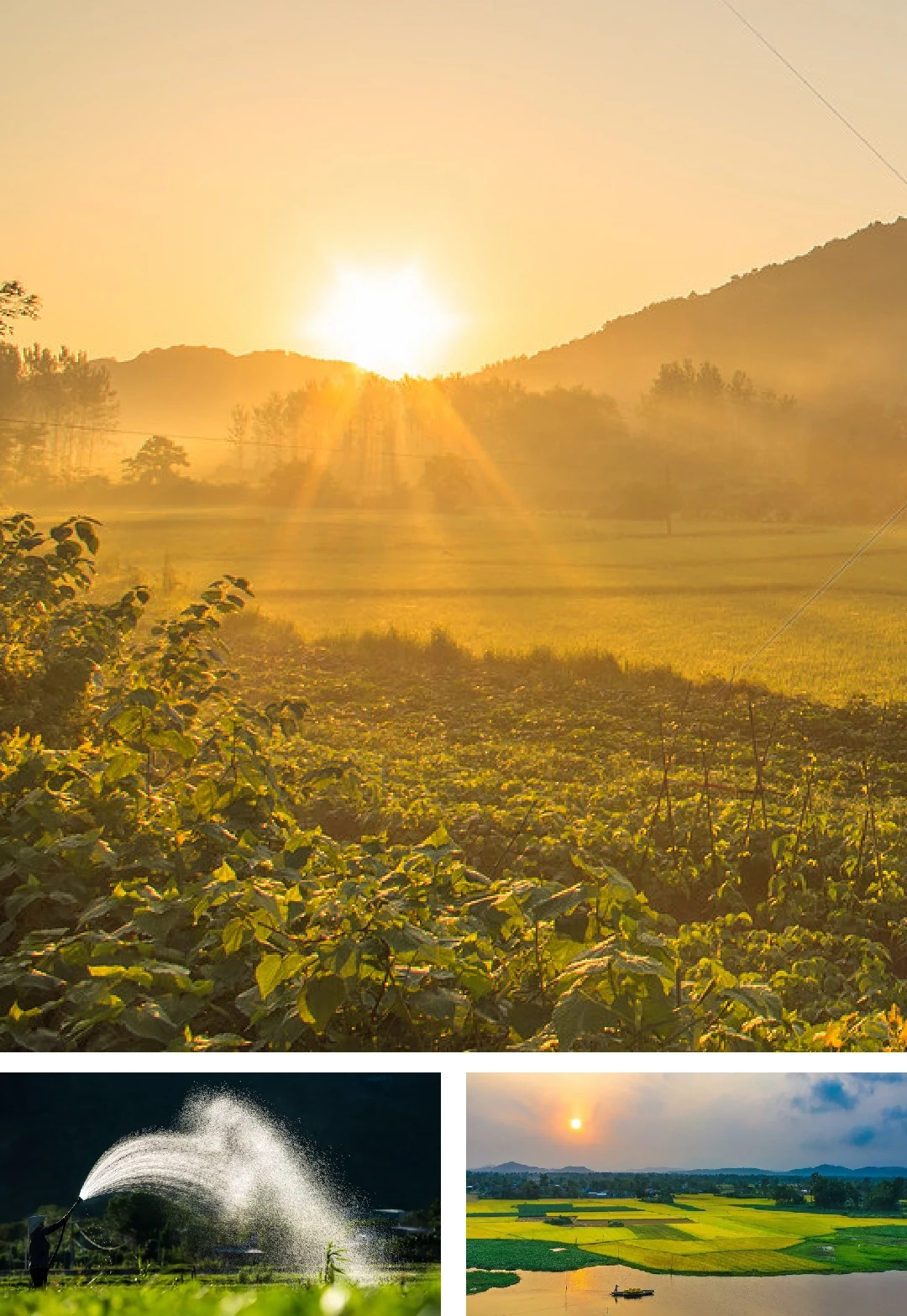 [E-Magazine]: Thanh âm của bình minh