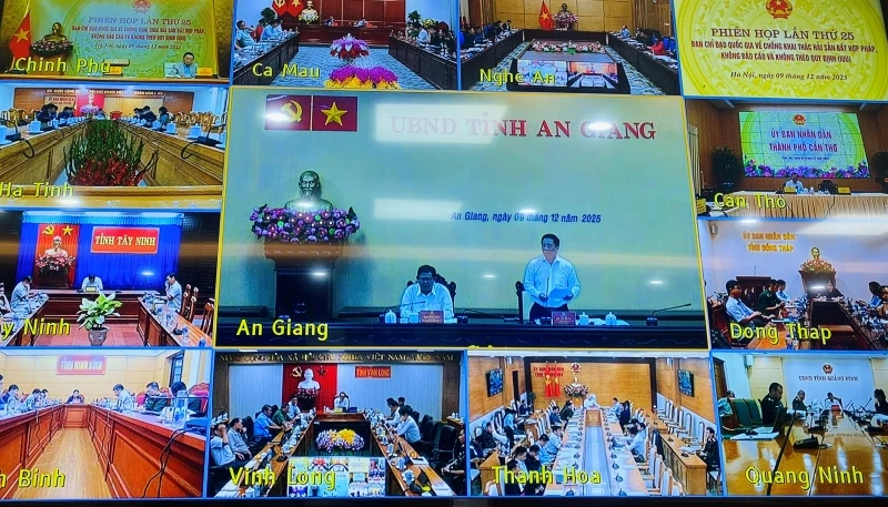 Giải quyết dứt điểm các khuyến nghị của EC trong thời gian sớm nhất