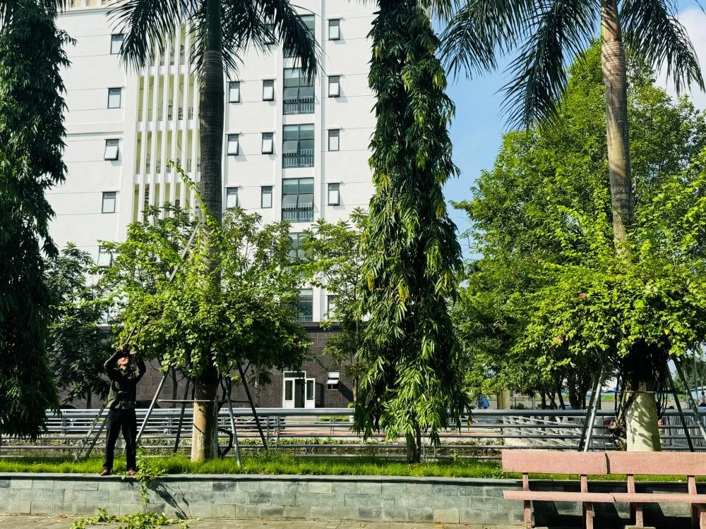 Bệnh viện Đa khoa Hà Trung xây dựng môi trường không thuốc lá