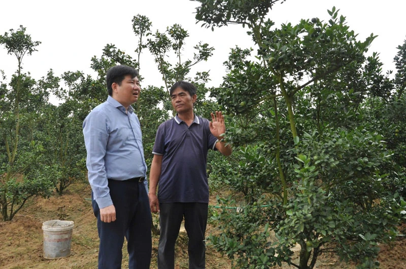 Từ câu “khích tướng”, một nông dân thuần hóa đất hoang thành trang trại kiểu mẫu