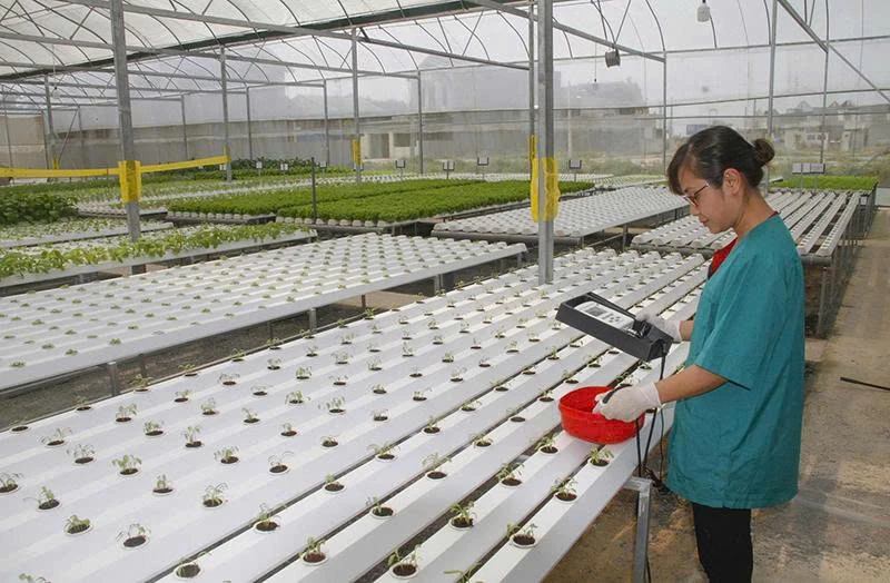 Kết nối cung cầu tạo đà cho nông sản Thanh Hóa vươn xa (Bài 1): Phát triển sản phẩm nông nghiệp chủ lực ứng dụng công nghệ cao, quy mô lớn