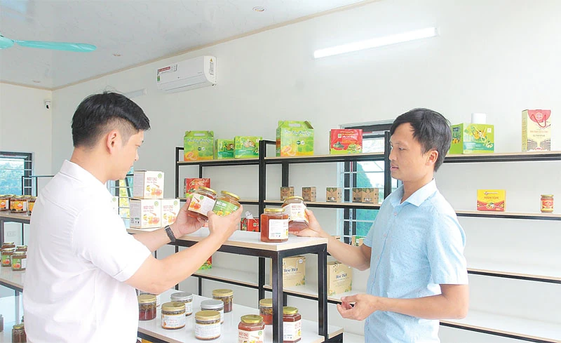 Phát triển chuỗi liên kết tiêu thụ sản phẩm OCOP