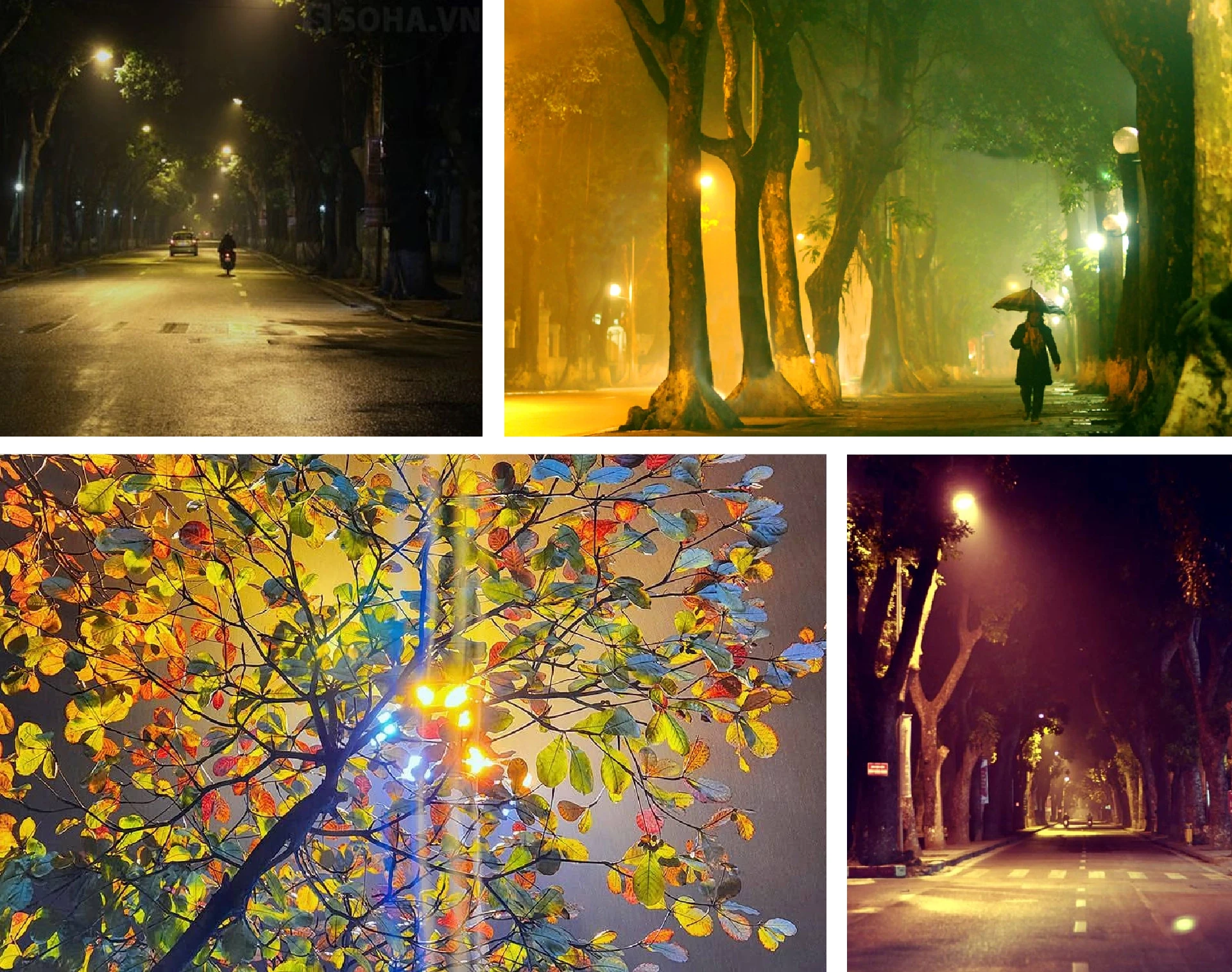 [E-Magazine]: Mùa khép lại những nguồn thương