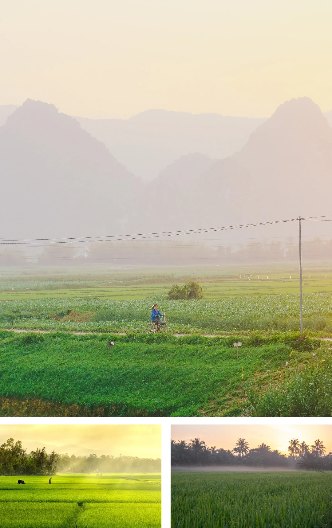 [E-Magazine]: Mùa khép lại những nguồn thương