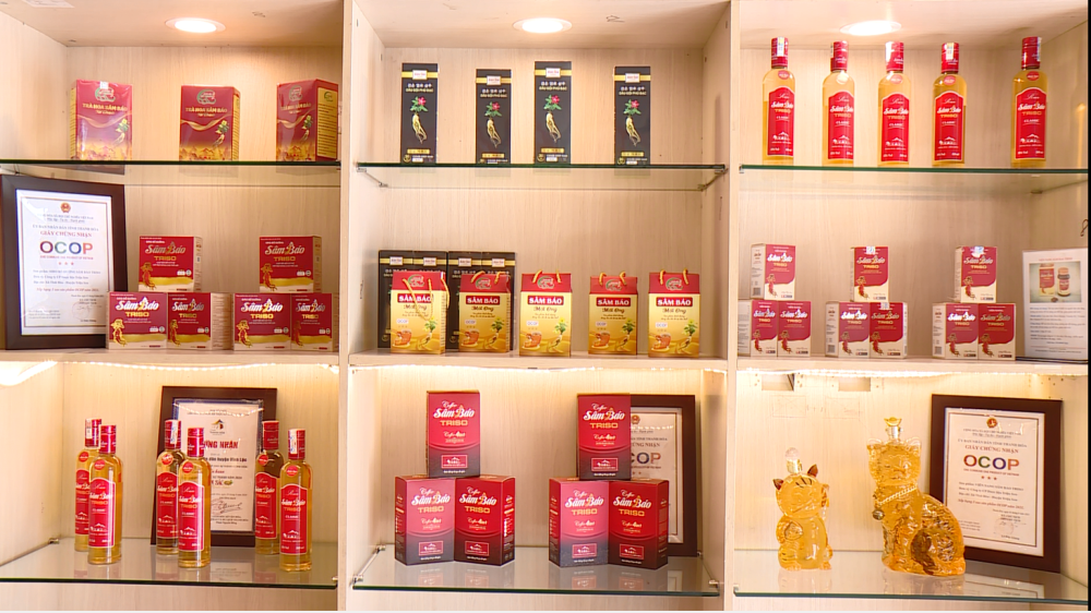 Bảo tồn, phát triển giống cây trồng nguồn gốc bản địa