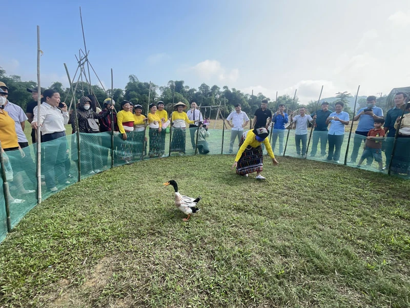 “Toàn dân đoàn kết xây dựng đời sống văn hóa” ở Thường Xuân