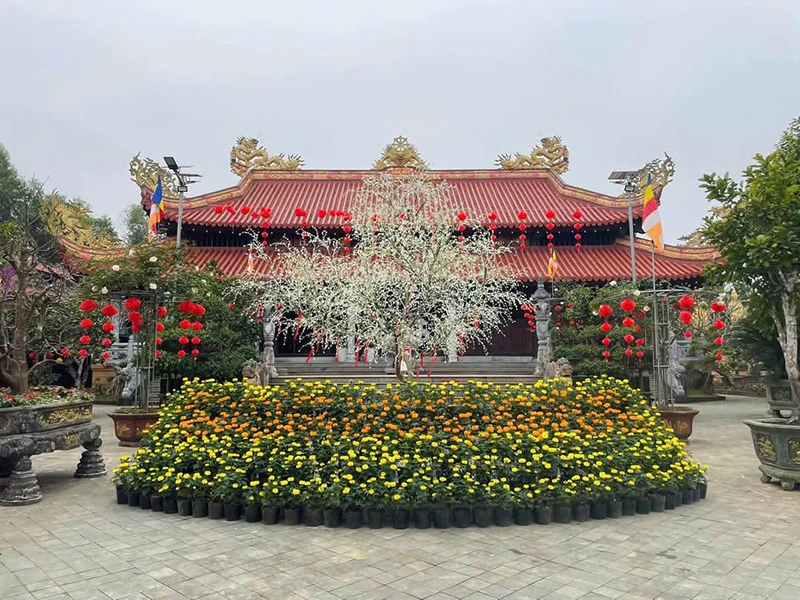 Chùa Mèo - điểm du lịch văn hóa tâm linh