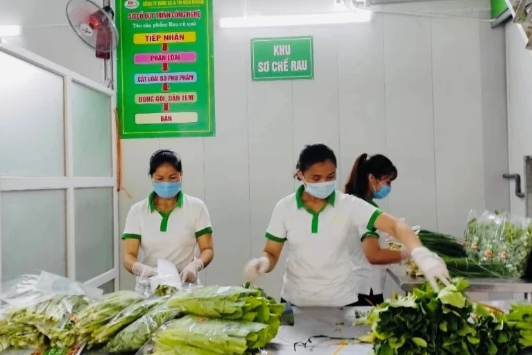 Vụ đông năm 2025-2026: Nhiều khởi sắc và thử thách (Bài 2): Giá nông sản tăng chóng mặt và sức ép quản lý các chuỗi cung ứng