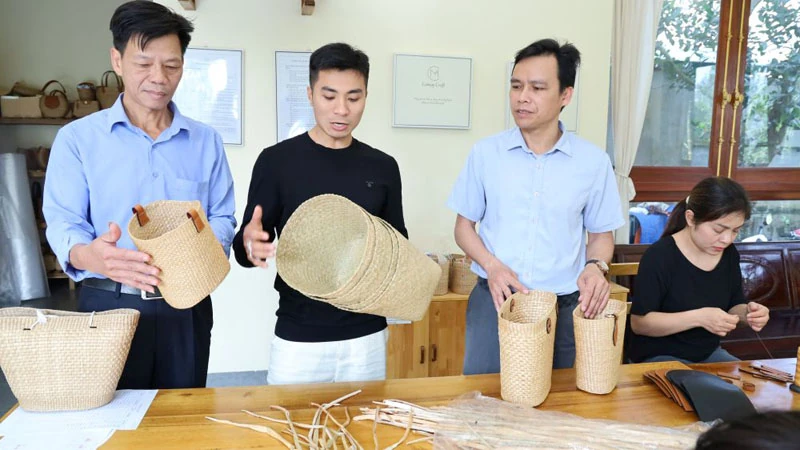 Ba Đình mở rộng không gian phát triển, tạo động lực tăng thu nhập cho người dân