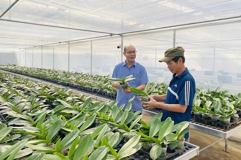 Khẳng định vai trò, vị trí nòng cốt của kinh tế tập thể trong kỷ nguyên phát triển mới