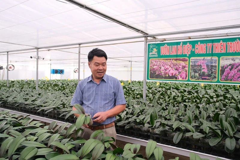 Kỳ vọng nông nghiệp công nghệ cao tiếp tục tạo đột phá