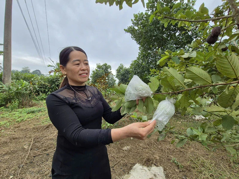 Nguồn sinh kế “kép” giúp phụ nữ miền núi đổi đời