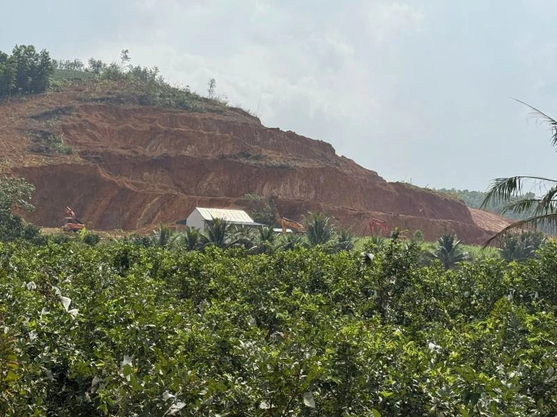 Kịp thời chấn chỉnh hoạt động vận tải trên tuyến đường tỉnh 516 và Quốc lộ 217B