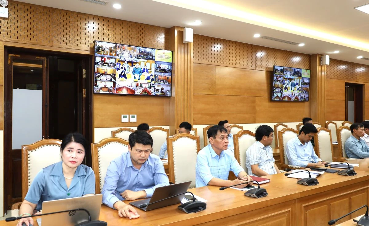 Tiếp tục triển khai các giải pháp chống khai thác IUU