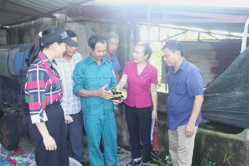 Biến đồng trũng lầy thành mô hình nông nghiệp tuần hoàn