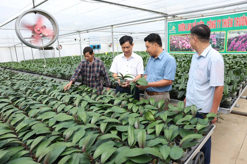 Đẩy mạnh liên kết, đồng hành cùng nông dân phát triển