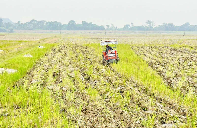 Chuẩn bị các điều kiện sản xuất vụ xuân