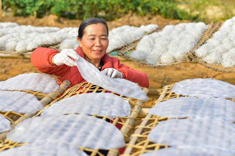 Các làng nghề miến dong tất bật cho vụ tết