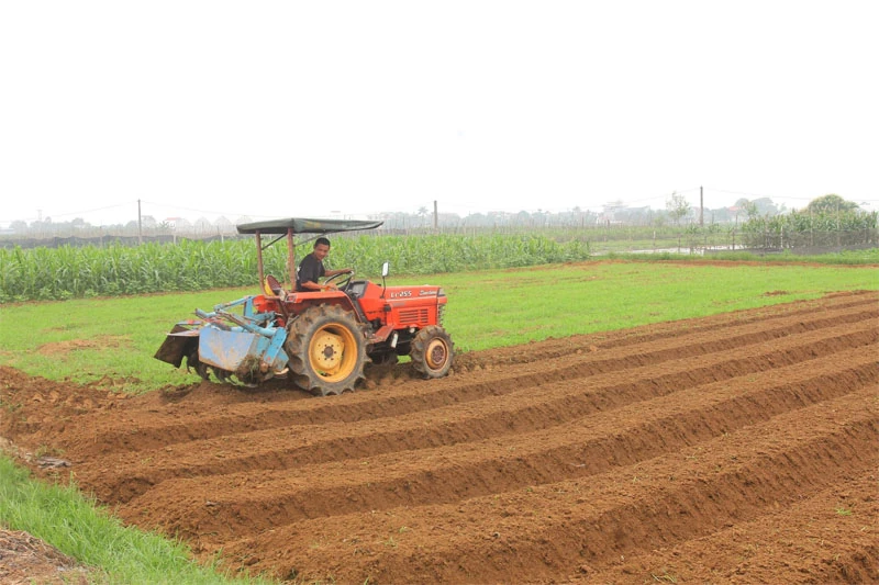 “Chìa khóa” nâng cao chất lượng dịch vụ và thúc đẩy kinh tế hợp tác