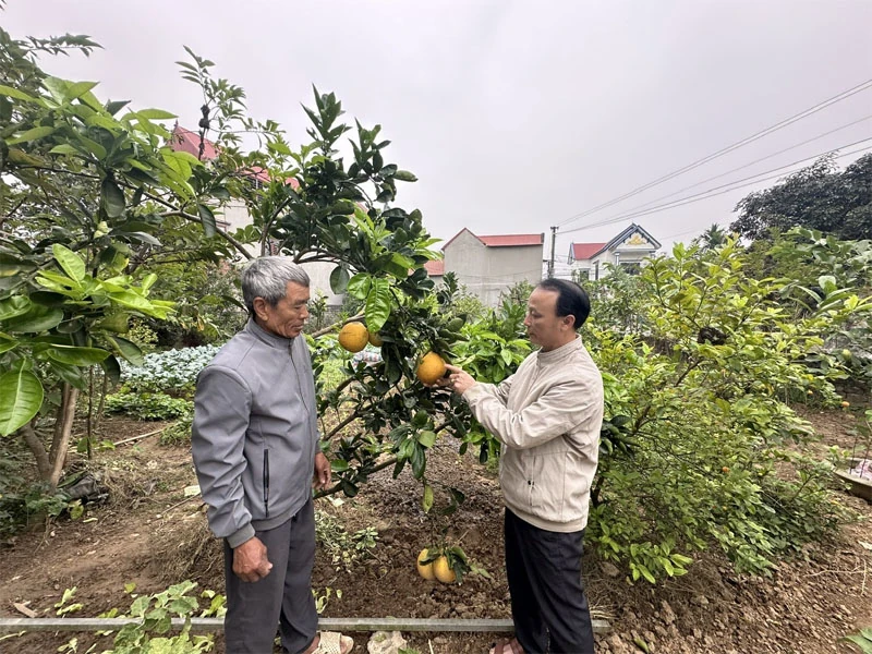Ông Nguyễn Duy Hà gương mẫu, tâm huyết với công việc tập thể