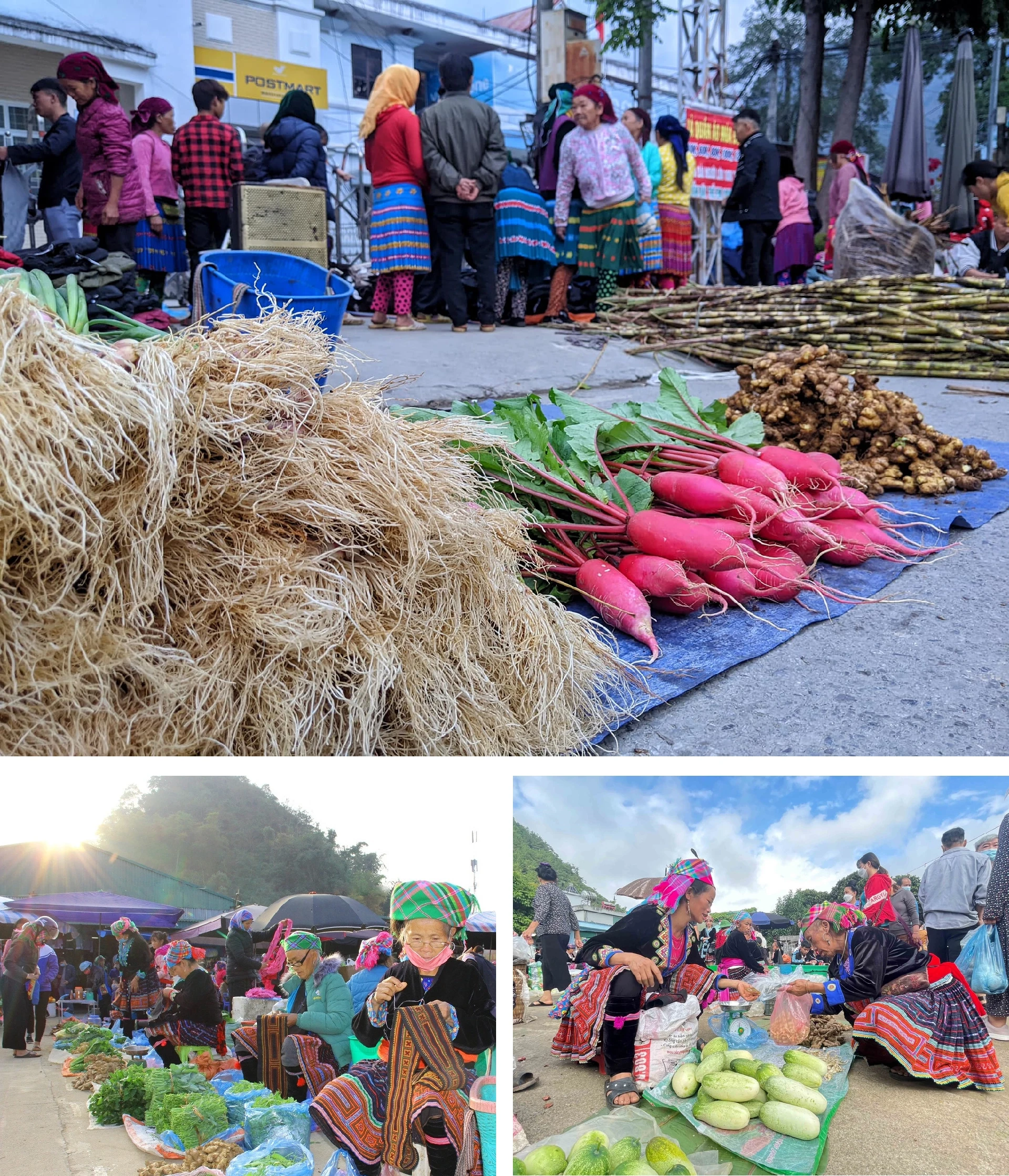 [E-Magazine]: Nụ cười trong sương mây