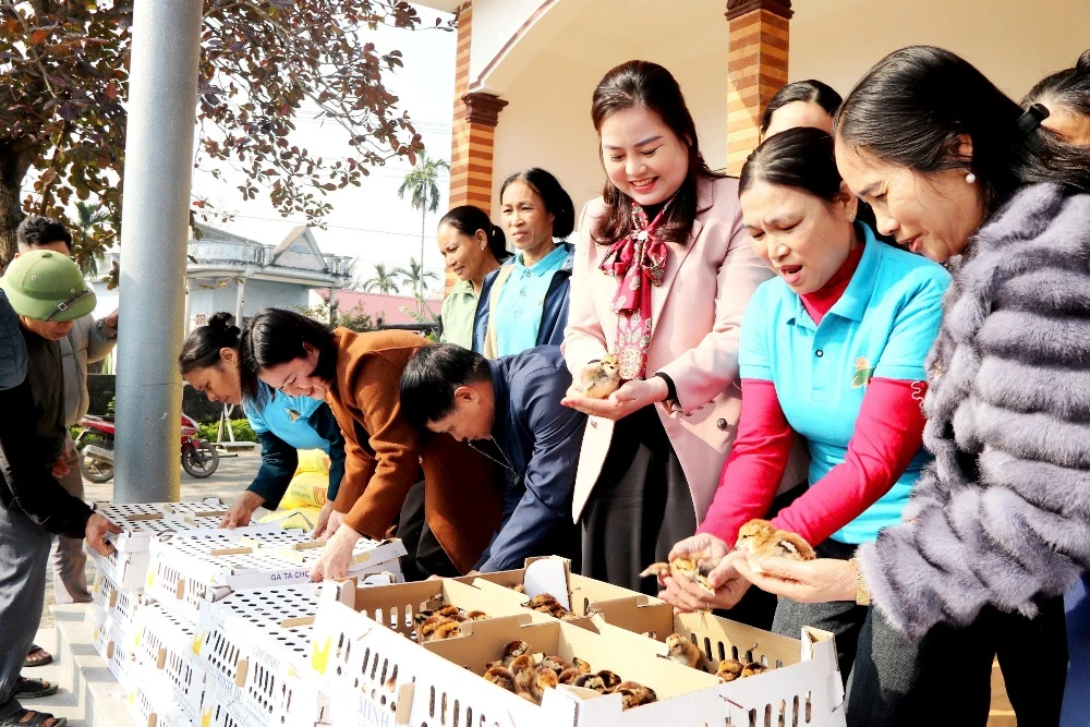 Ra mắt 4 mô hình kinh tế Tổ hợp tác do phụ nữ tham gia quản lý