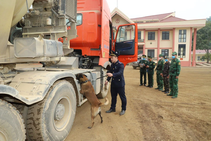 Chống buôn lậu và gian lận thương mại qua cửa khẩu dịp tết