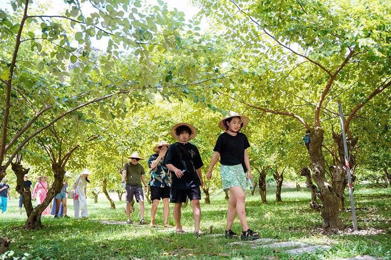 Du lịch nâng tầm sản phẩm nông nghiệp địa phương