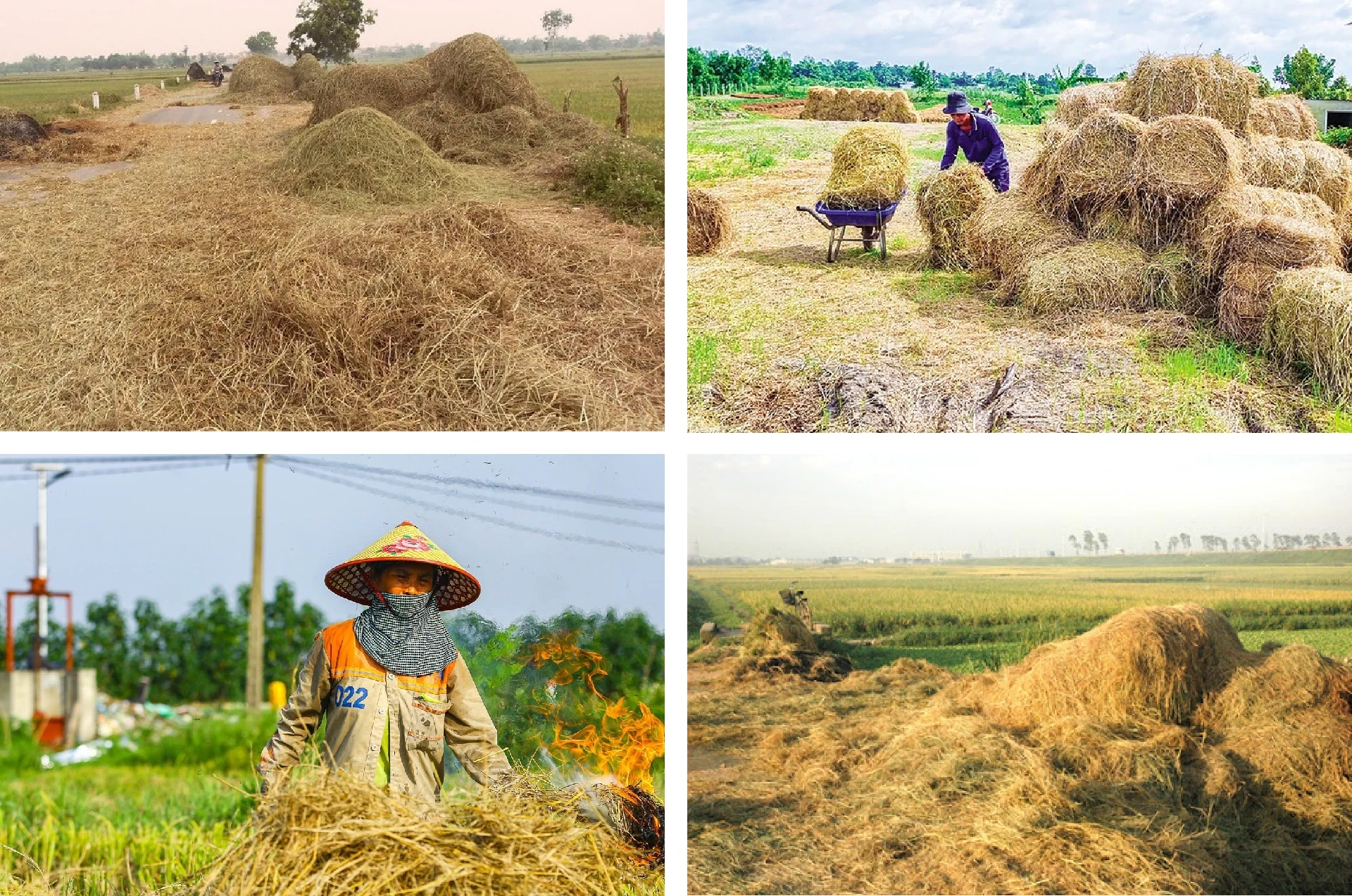 [E-Magazine]: Cuối đông, thêm một giấc nồng...