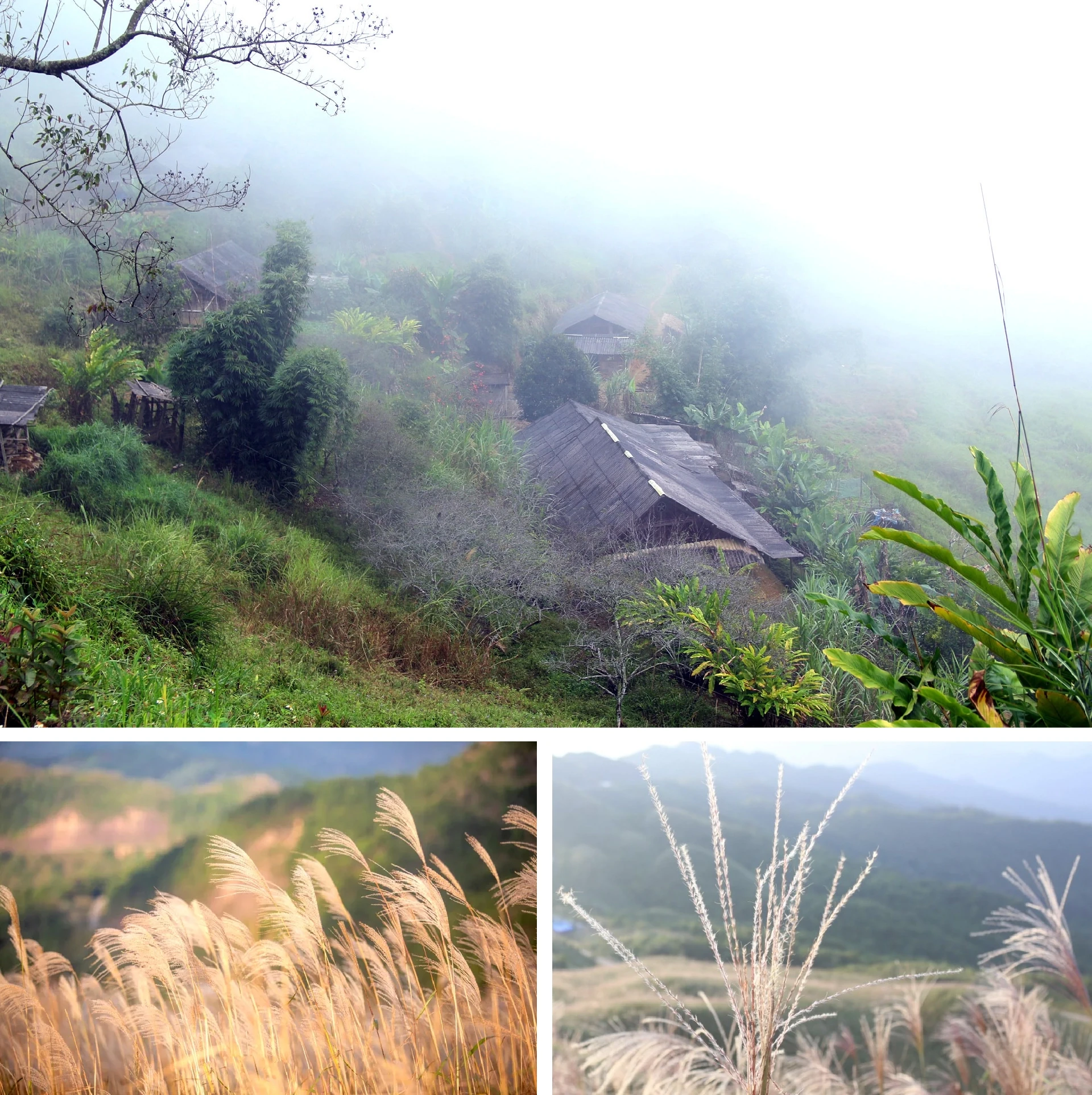 [E-Magazine]: Cuối đông, thêm một giấc nồng...