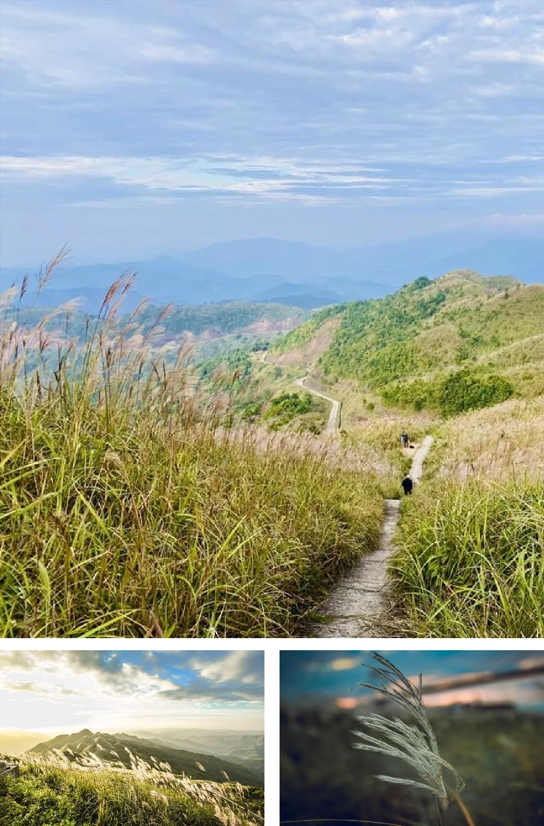 [E-Magazine]: Cuối đông, thêm một giấc nồng...