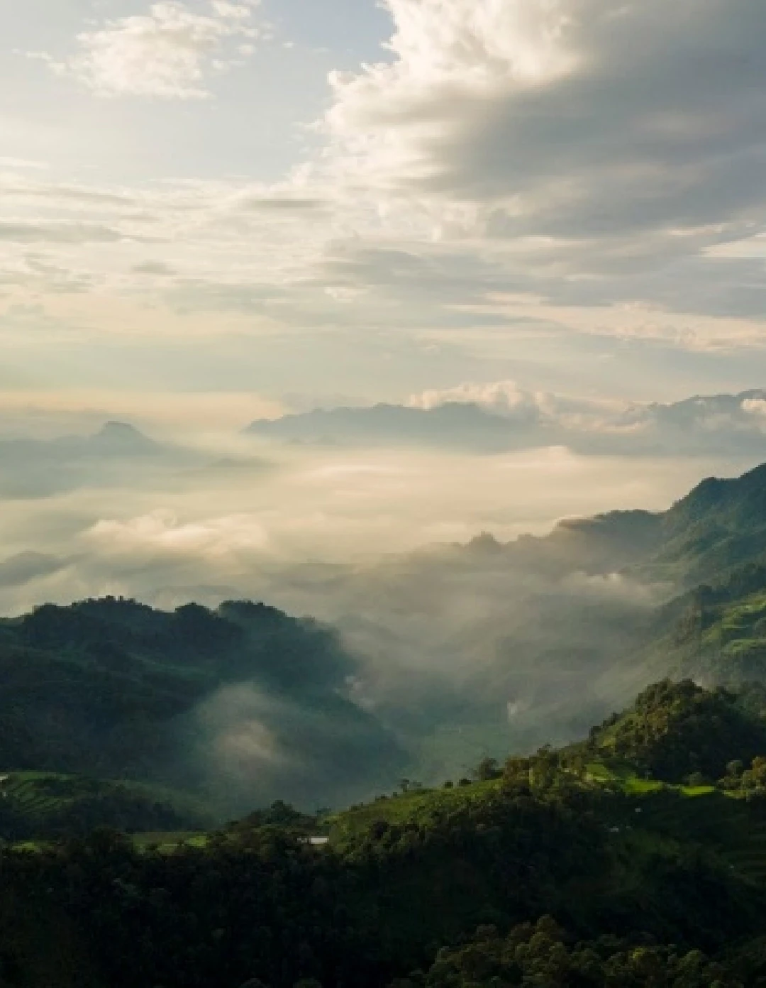 [E-Magazine]: Cuối đông, thêm một giấc nồng...