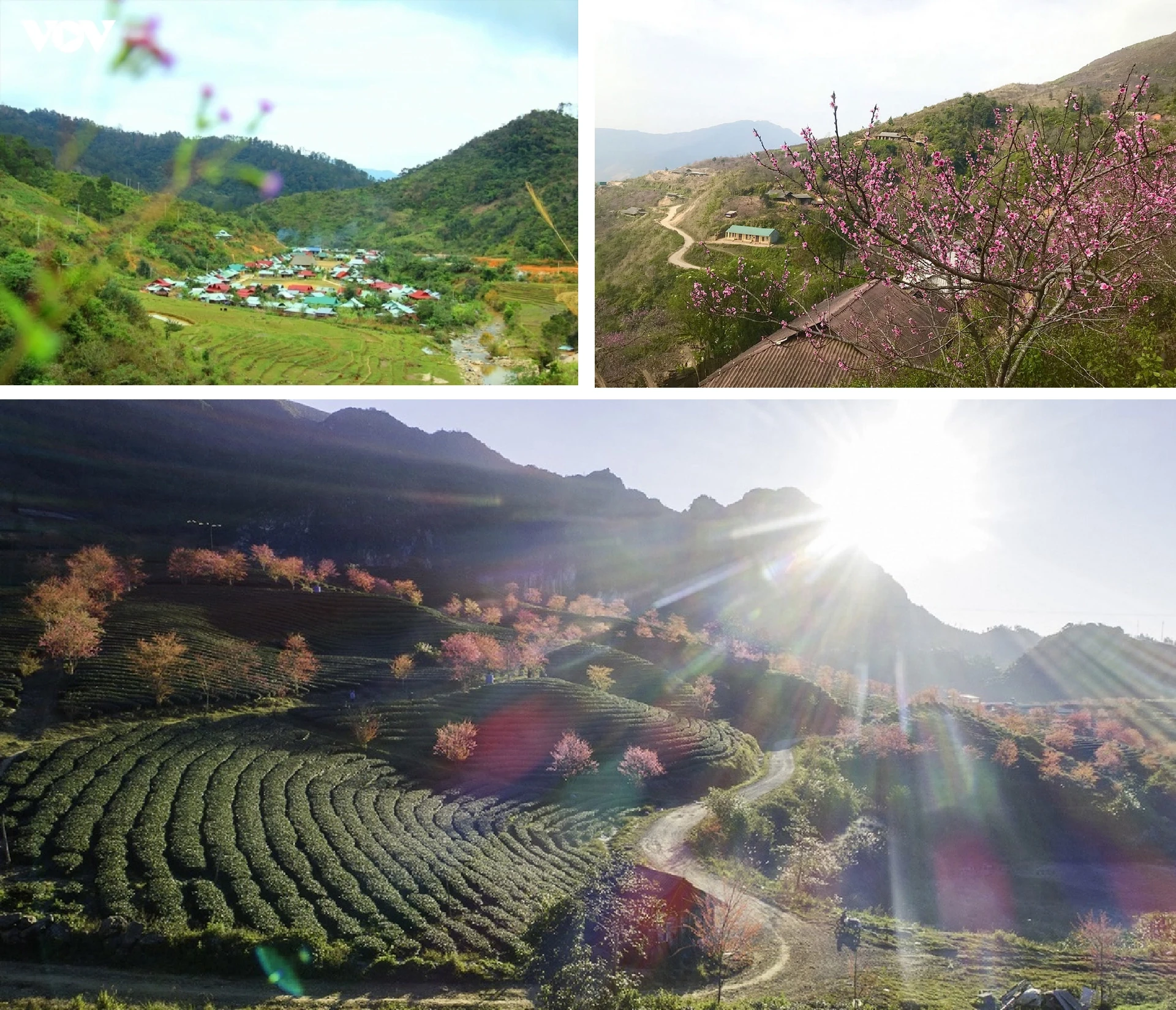 [E-Magazine]: Cuối đông, thêm một giấc nồng...