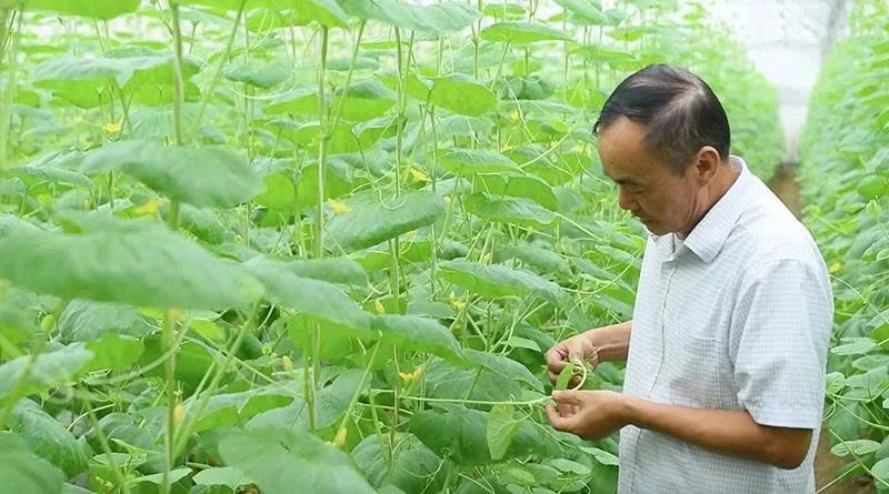 Chương trình hành động thực hiện mục tiêu tăng trưởng kinh tế “2 con số” giai đoạn 2026-2030 và tiếp tục tăng trưởng nhanh, bền vững đến năm 2045