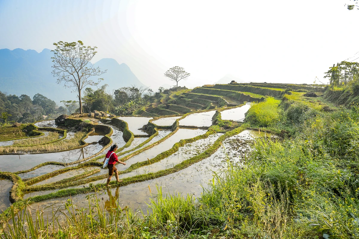 Ruộng bậc thang Pù Luông lung linh mùa nước đổ