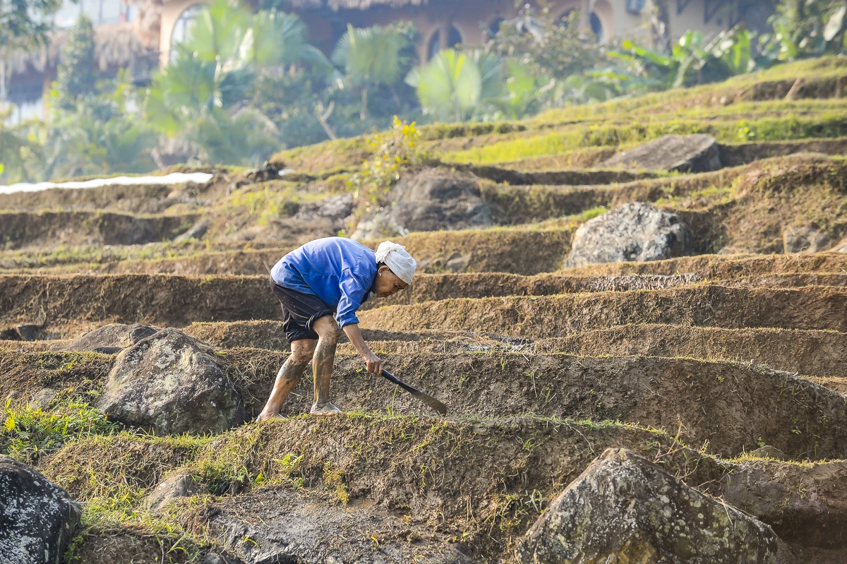 Ruộng bậc thang Pù Luông lung linh mùa nước đổ