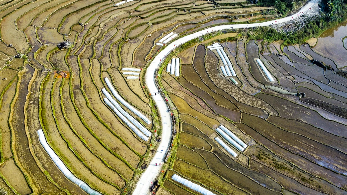 Ruộng bậc thang Pù Luông lung linh mùa nước đổ