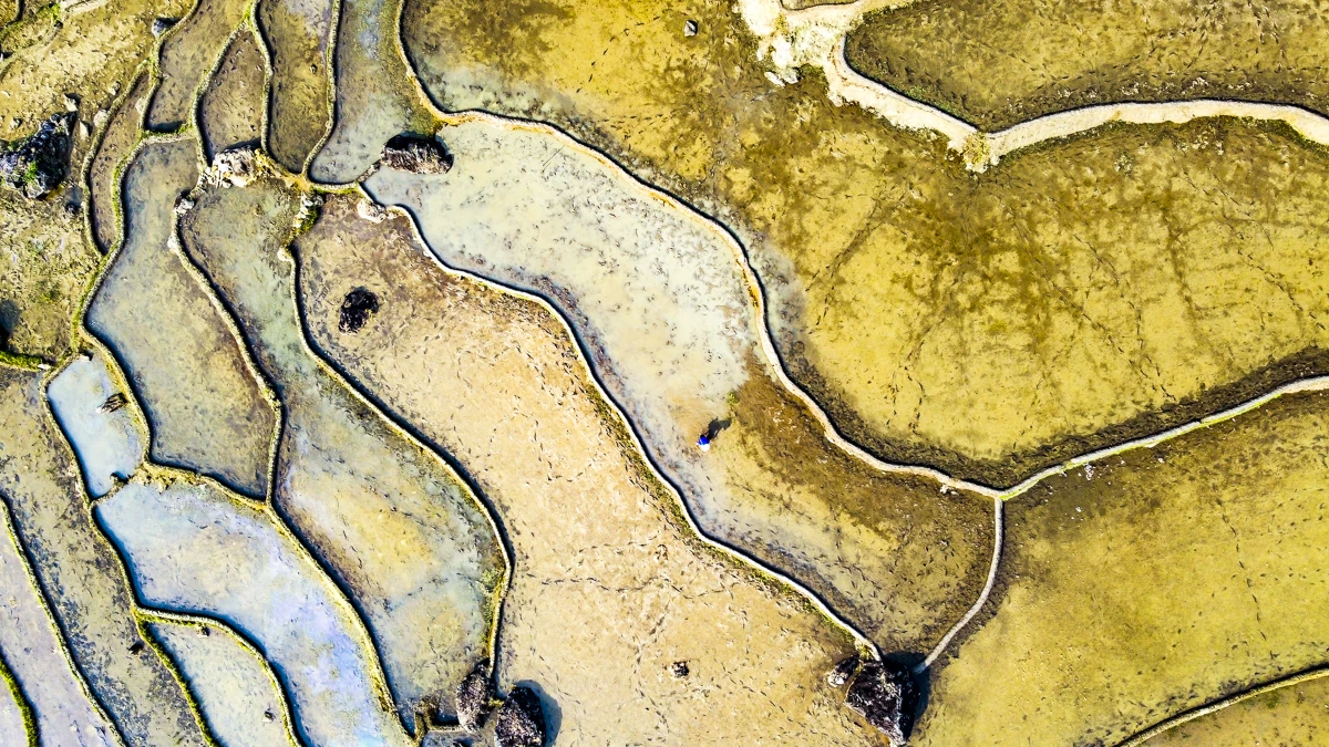 Ruộng bậc thang Pù Luông lung linh mùa nước đổ