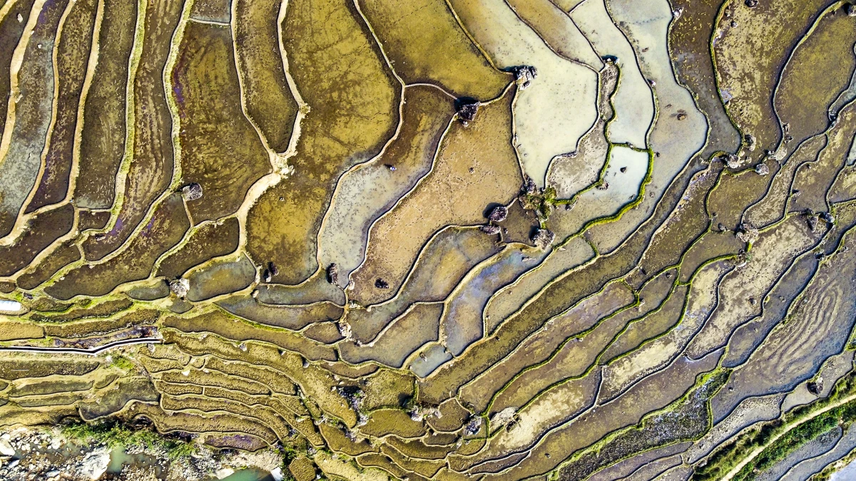 Ruộng bậc thang Pù Luông lung linh mùa nước đổ